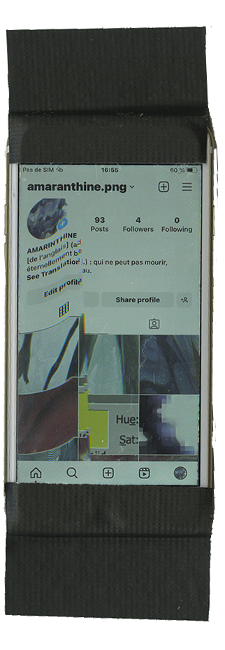 écran de téléphone scanné de la page instagram @amaranthine.png